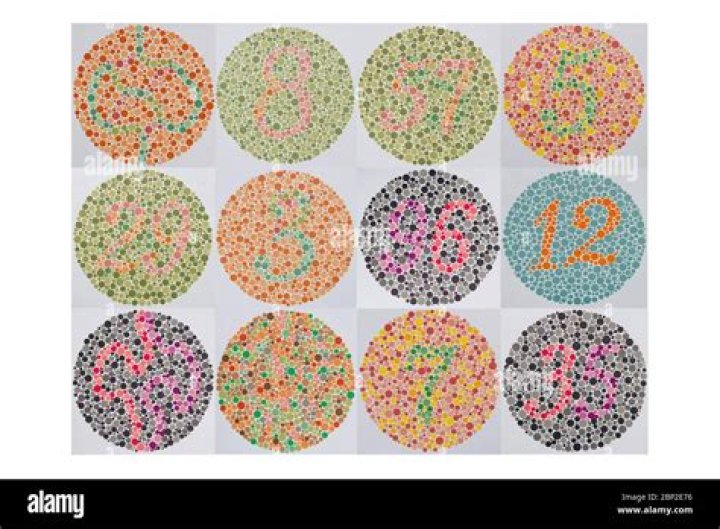 Ishihara Test Plates PDF for Vision Testing & Color Blindness Diagnosis
