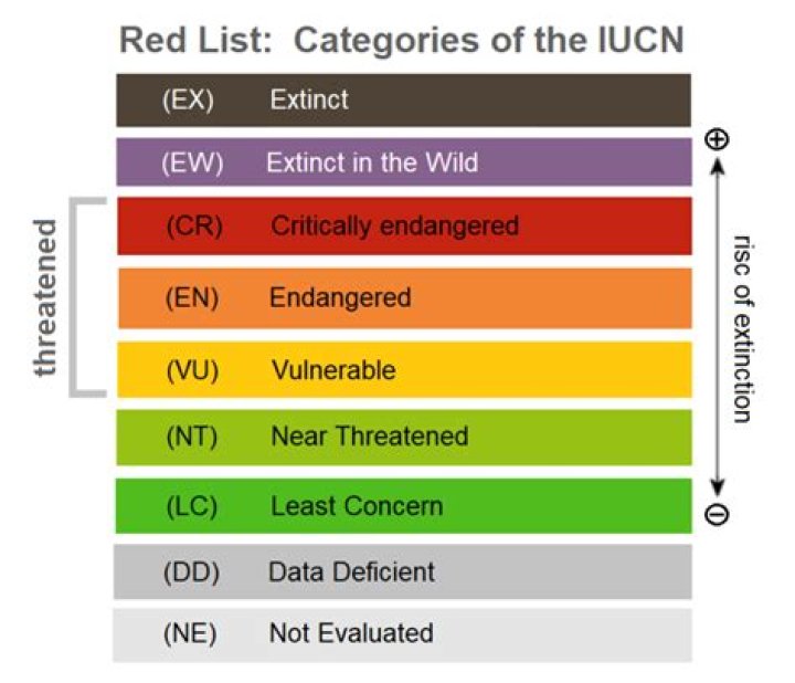 IUCN Red List Categories & Criteria v3.1 PDF: Official Guide to Conservation Status
