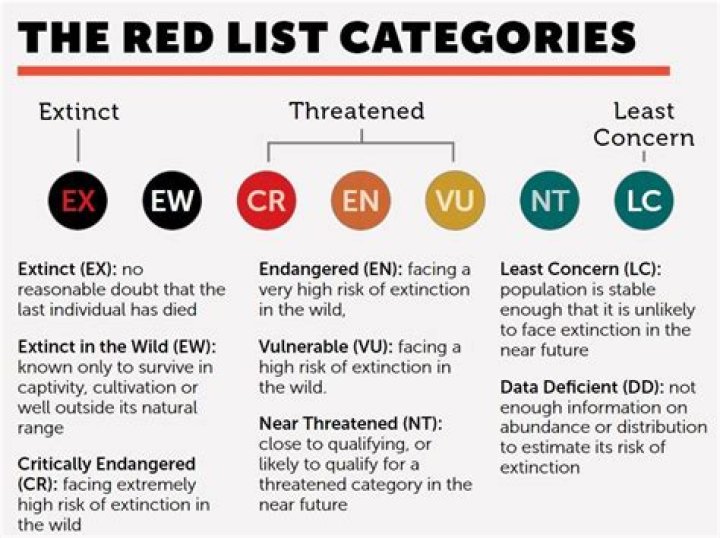 How to Use IUCN Red List Categories PDF: Complete Guide