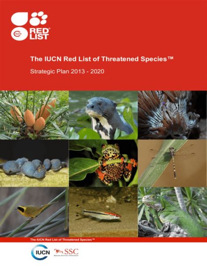 Free IUCN Red List PDFs – Access Global Conservation Data