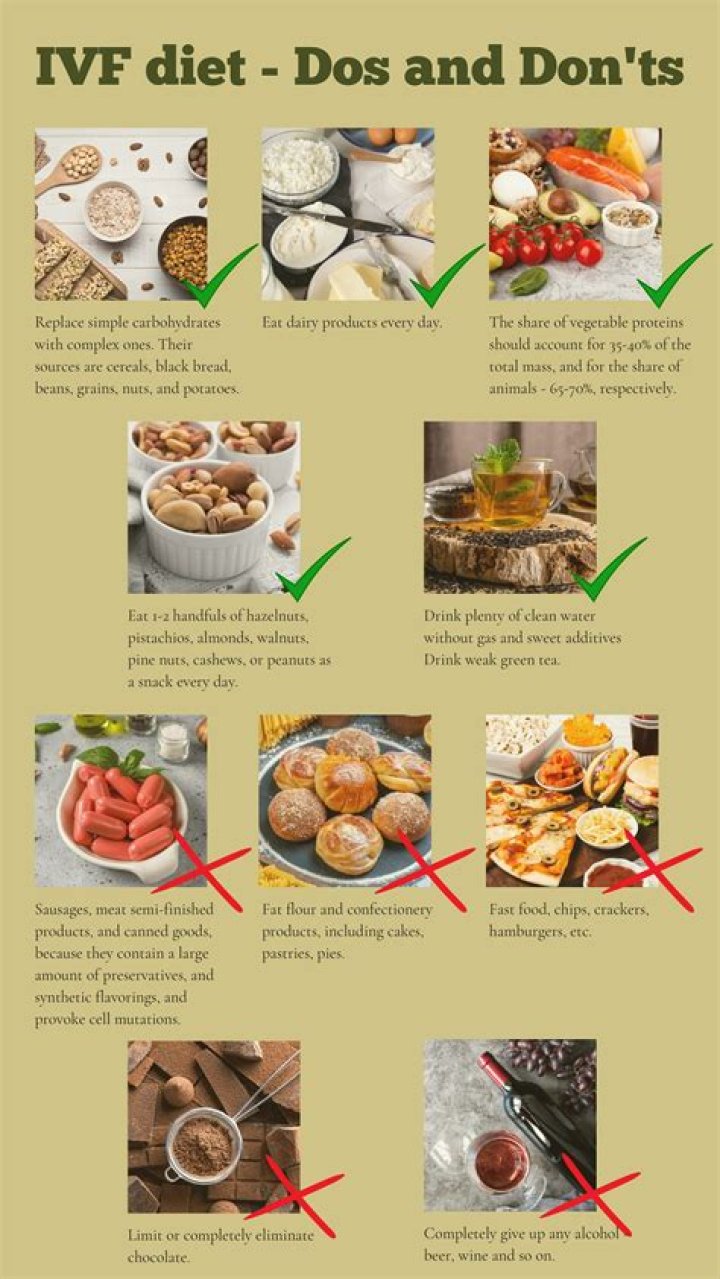 Optimize Your IVF Success with Our Expert Diet Plan PDF