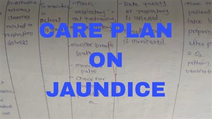 Jaundice Nursing Care Plan PDF: Essential Guide for Healthcare Providers