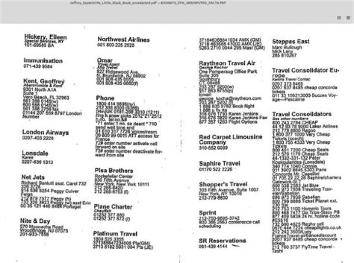 Jeffrey Epstein Client List PDF: Exclusive Documentation Released