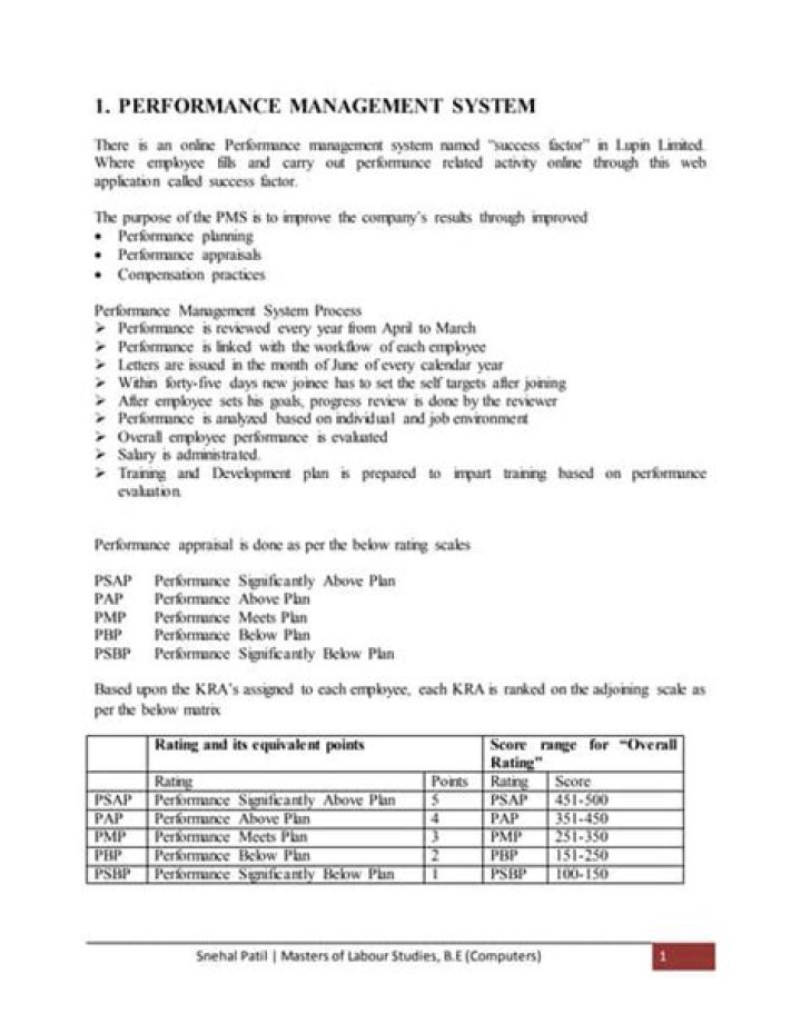 Essential Journal on Performance Management System PDF: Optimize Workforce Efficiency