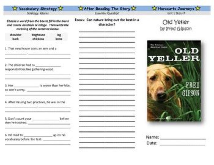 Old Yellow Dog Comprehension Test PDF for Children