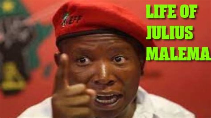 Julius Malema Biography Wife, Net Worth, Age, Parents, Cars, House