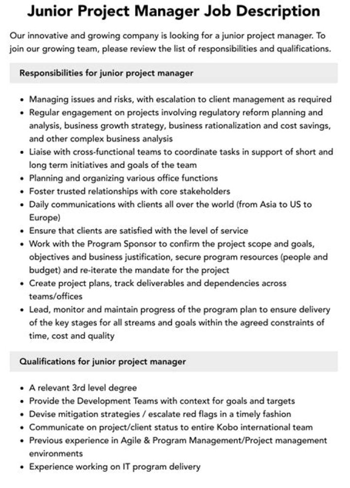 Junior Project Manager Job Description PDF: Roles, Responsibilities & Requirements