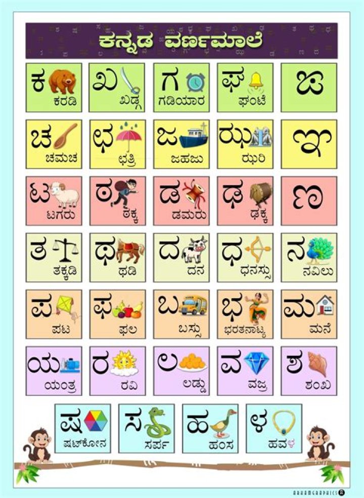 Kannada Slang Words List PDF: Essential Phrases You Need