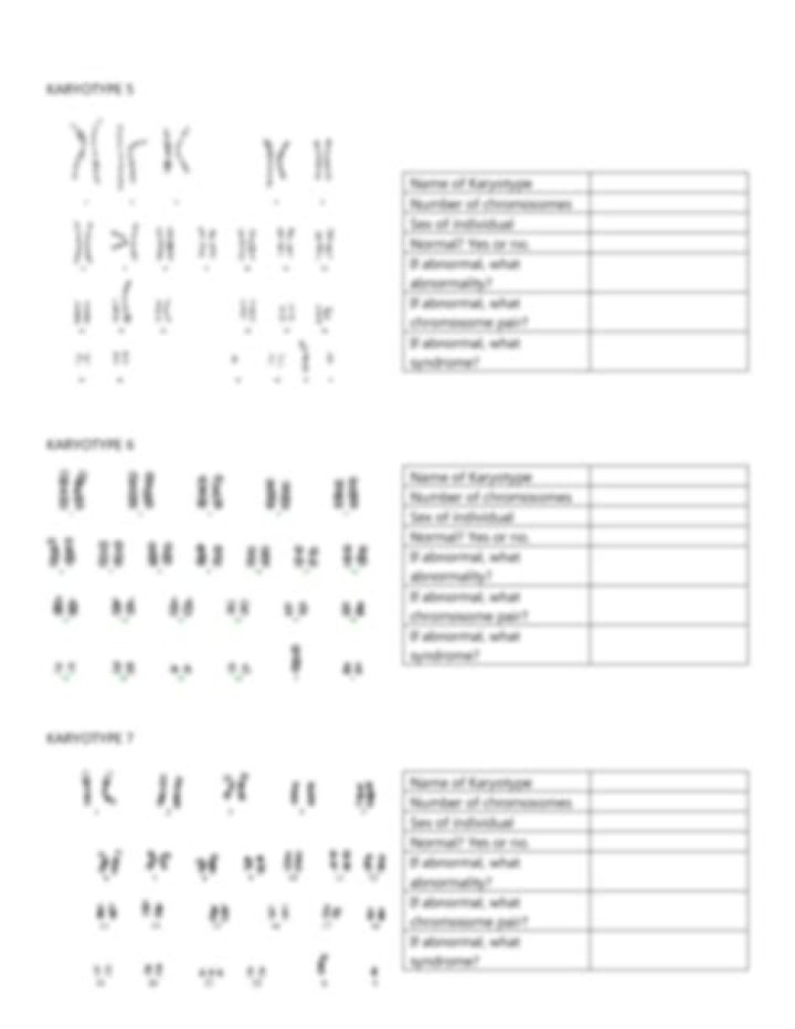 Karyotype Worksheet Answers PDF – Complete Guide & Solutions