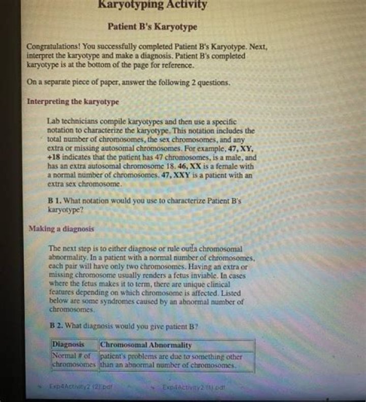 Karyotyping Activity Answers PDF: Complete Guide & Answer Key