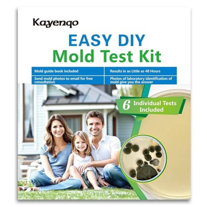 How to Use Kayano Mold Test Kit: Step-by-Step PDF Instructions