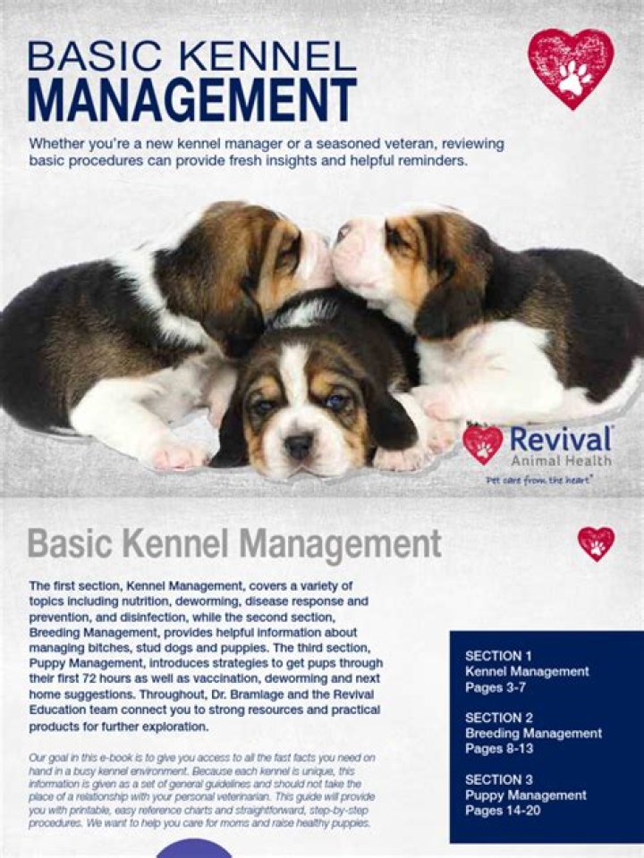 Kennel Management PDF: Expert Guide for Safe & Efficient Kennel Operations