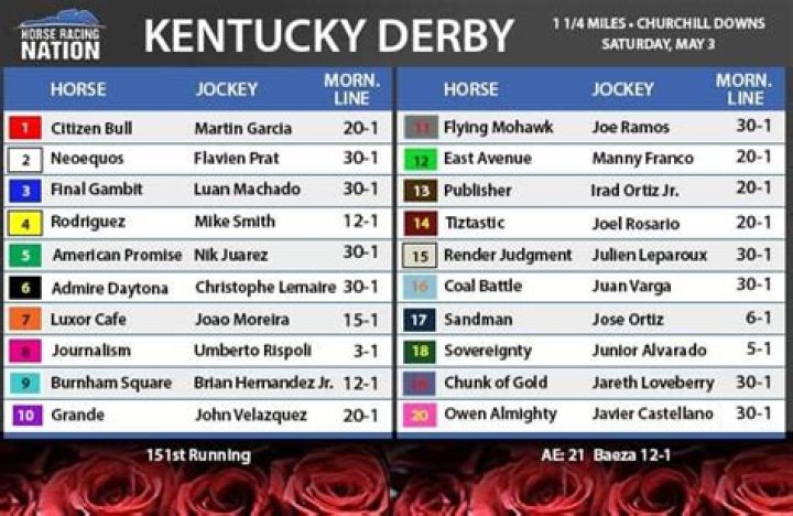 Kentucky Derby 2025 Horses List – Printable PDF for Race Day