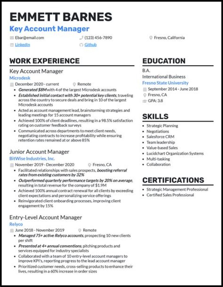 Key Account Manager Resume PDF – Professional Resume for Senior Sales Leadership