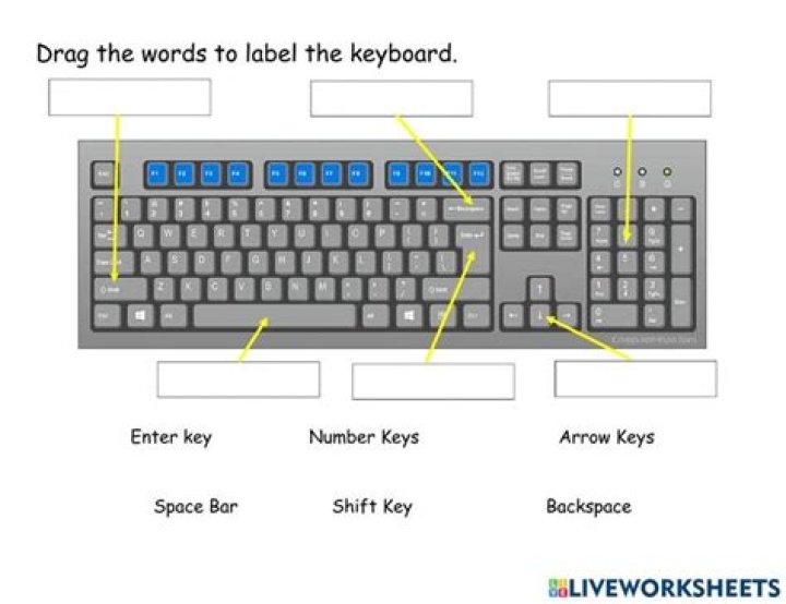 Free Keyboard Worksheet PDF for Effective Learning