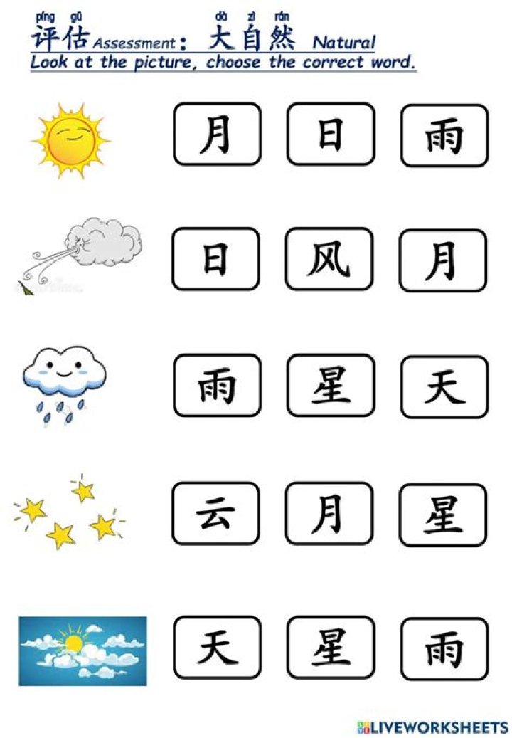 Free Kindergarten Chinese Worksheets PDF Download