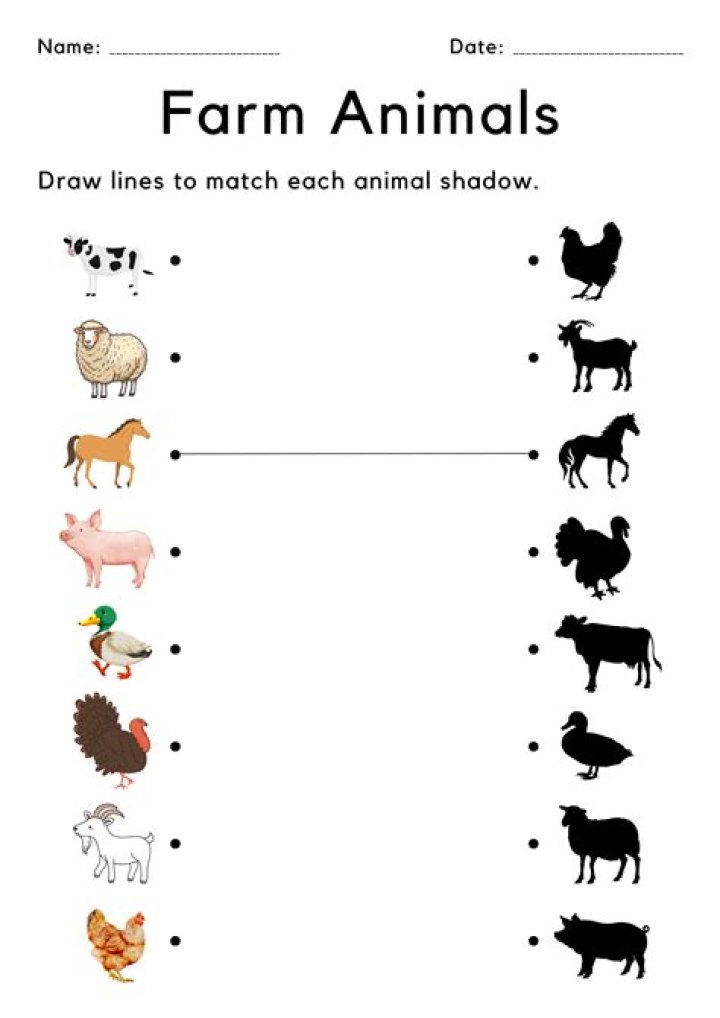 Kindergarten Matching Worksheets PDF: Free Printable Matching Activities