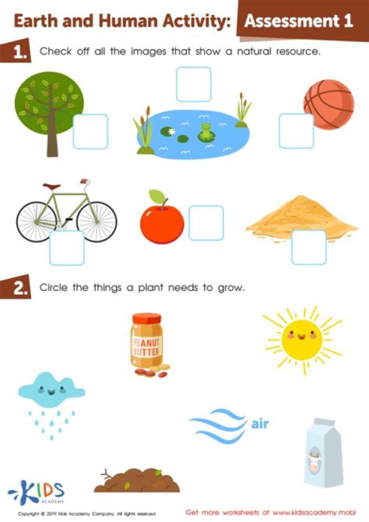 Free Kindergarten Science Worksheets PDF – Instant Download
