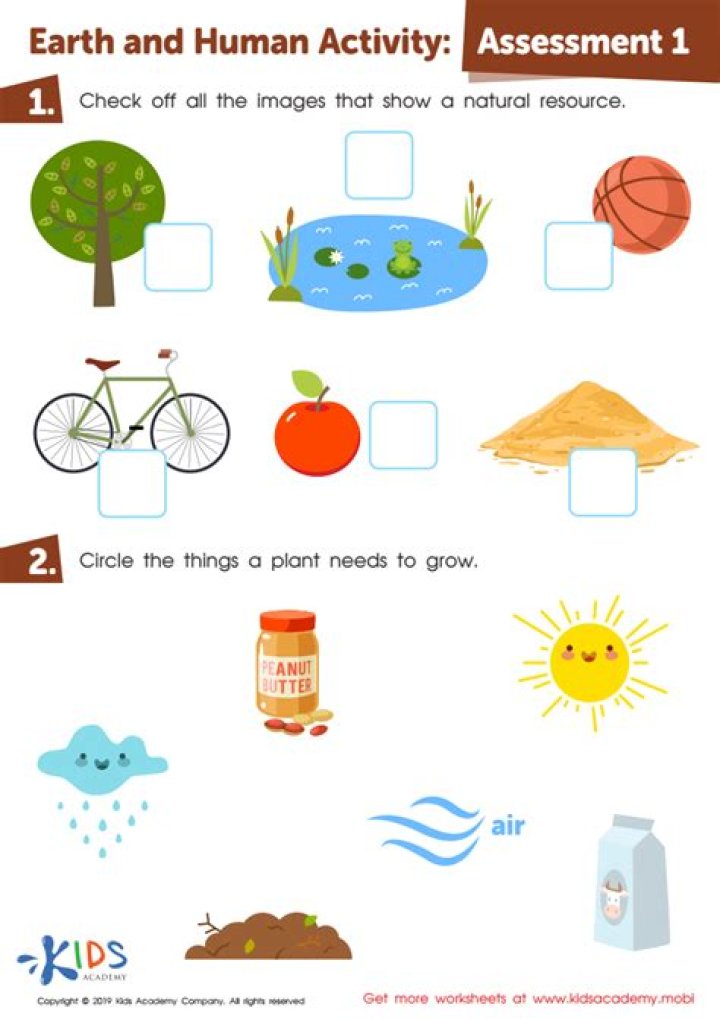 Free Kindergarten Science Worksheets PDF – Fun, Printable Science Activities for Early Learners