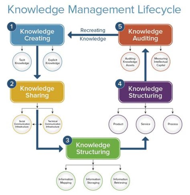 Essential Knowledge Management Policy PDF for Seamless Organizational Efficiency