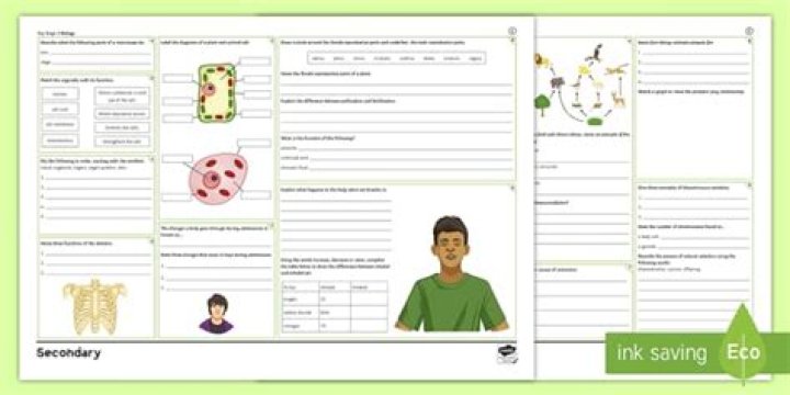 KS3 Biology Worksheets PDF for Exam Prep & Revision