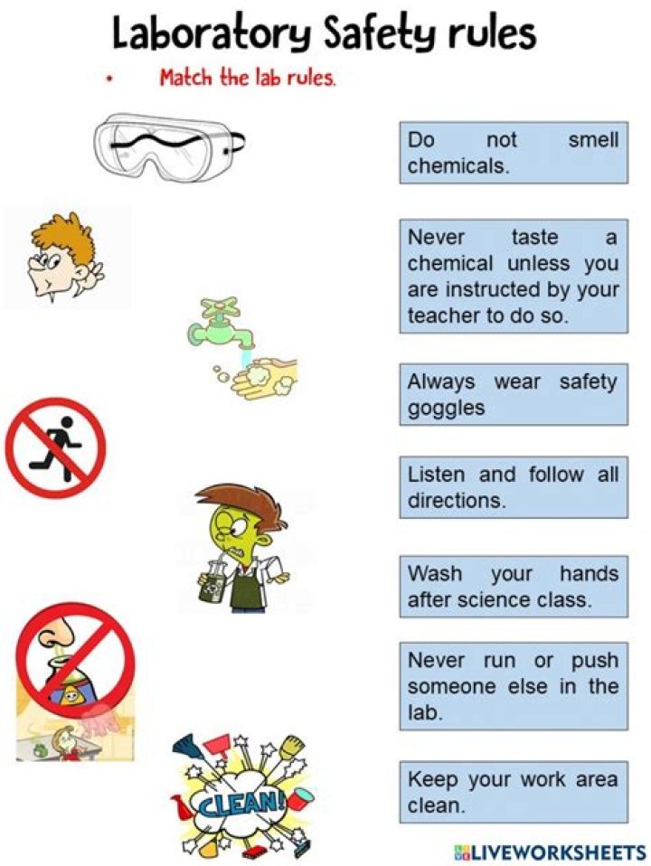 Lab Safety Cartoon Worksheet Answer Key PDF – Fun & Safe Learning