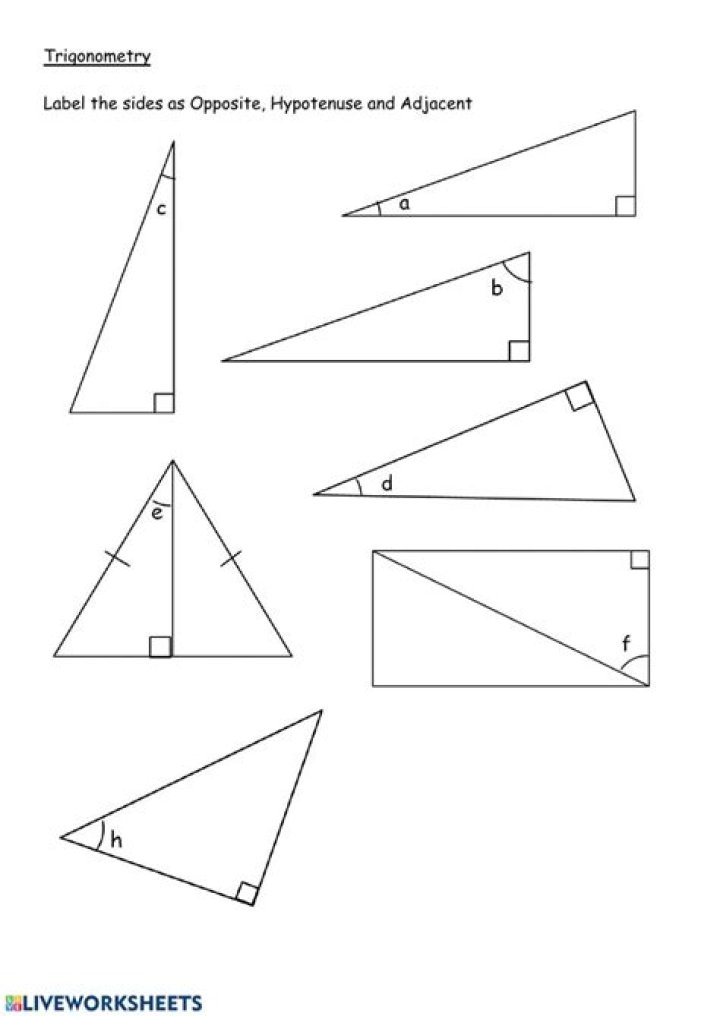Label Opposite Adjacent Hypotenuse Worksheet PDF for Math Practice