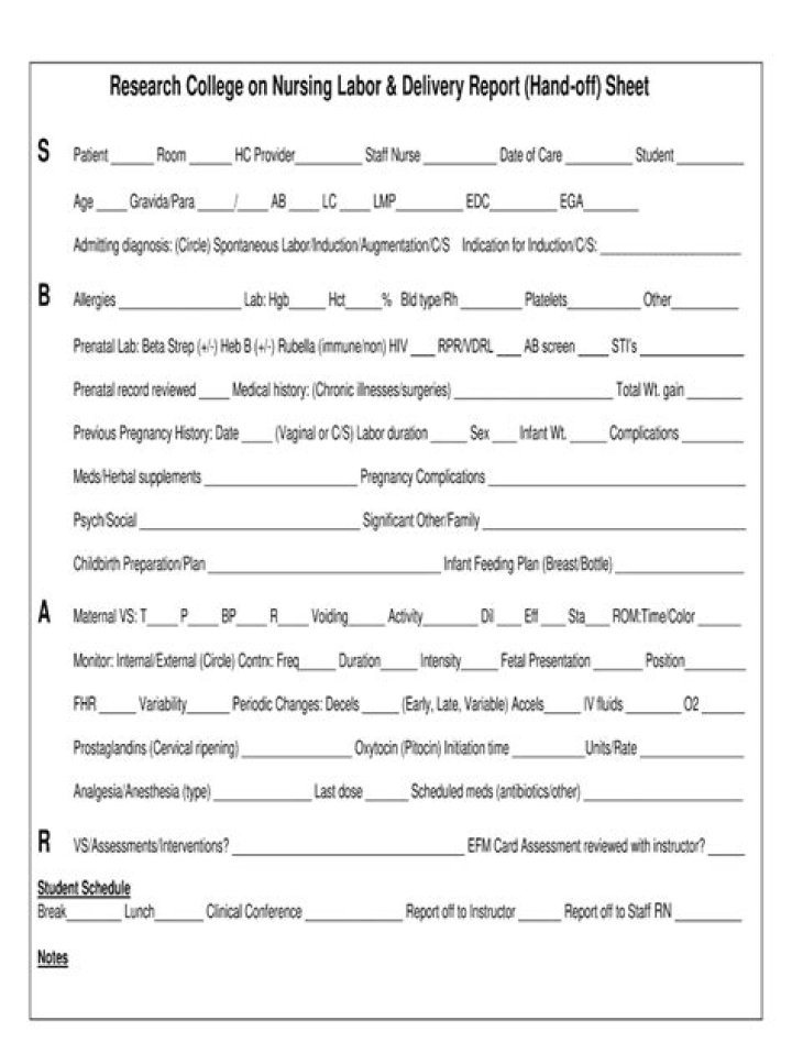 Free Labor and Delivery Report Sheet PDF for New Moms