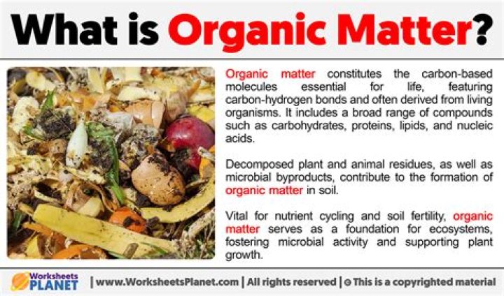 Laboratory Test for Organic Matter PDF: Accurate Analysis & Reporting