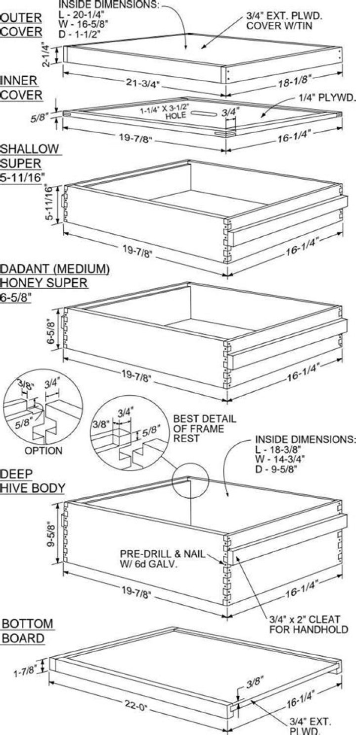 Langstroth Bee Hive Plans PDF – Easy DIY Beekeeping Setup