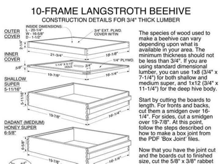 Free Langstroth Beehive Plans PDF for Easy Building