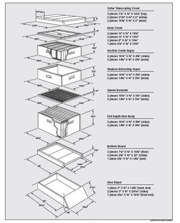 Free Langstroth Hive Plans PDF for Beekeepers