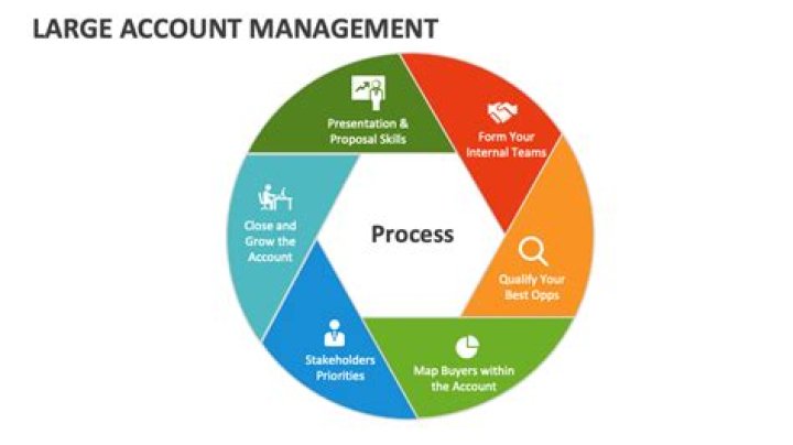 Master Large Account Management with Our Expert PDF Guide