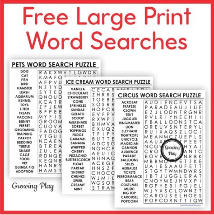Large Print Word Search PDF with Answers for Printable Fun