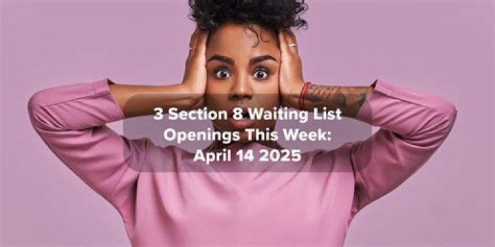 Las Vegas Section 8 Waiting List 2024 Opens — PDF Guide & Wait Times