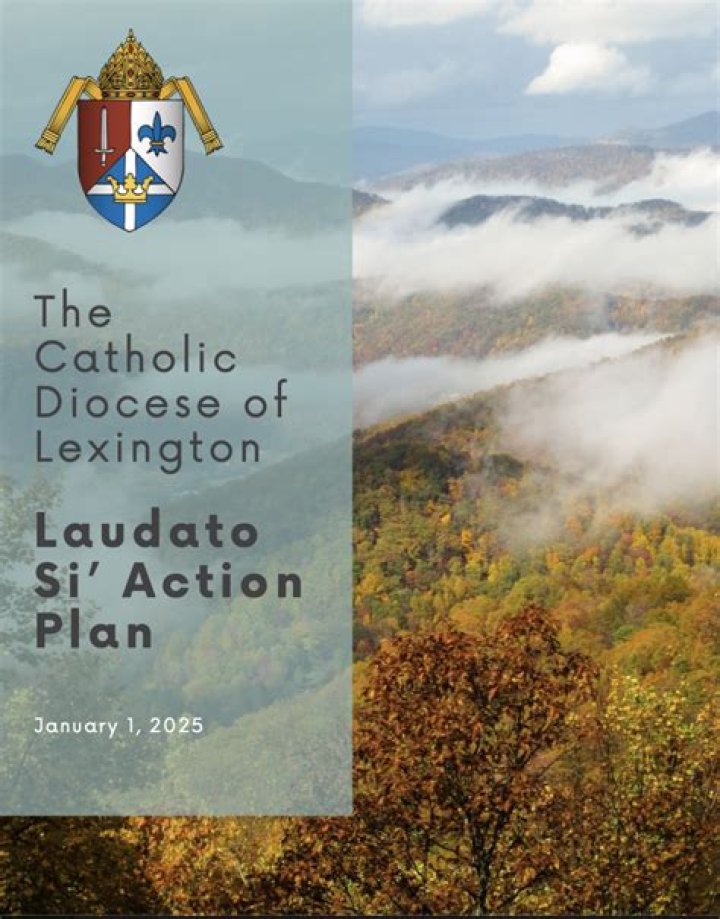 Laudato Si’ Action Plan PDF: Guide to Environmental Responsibility