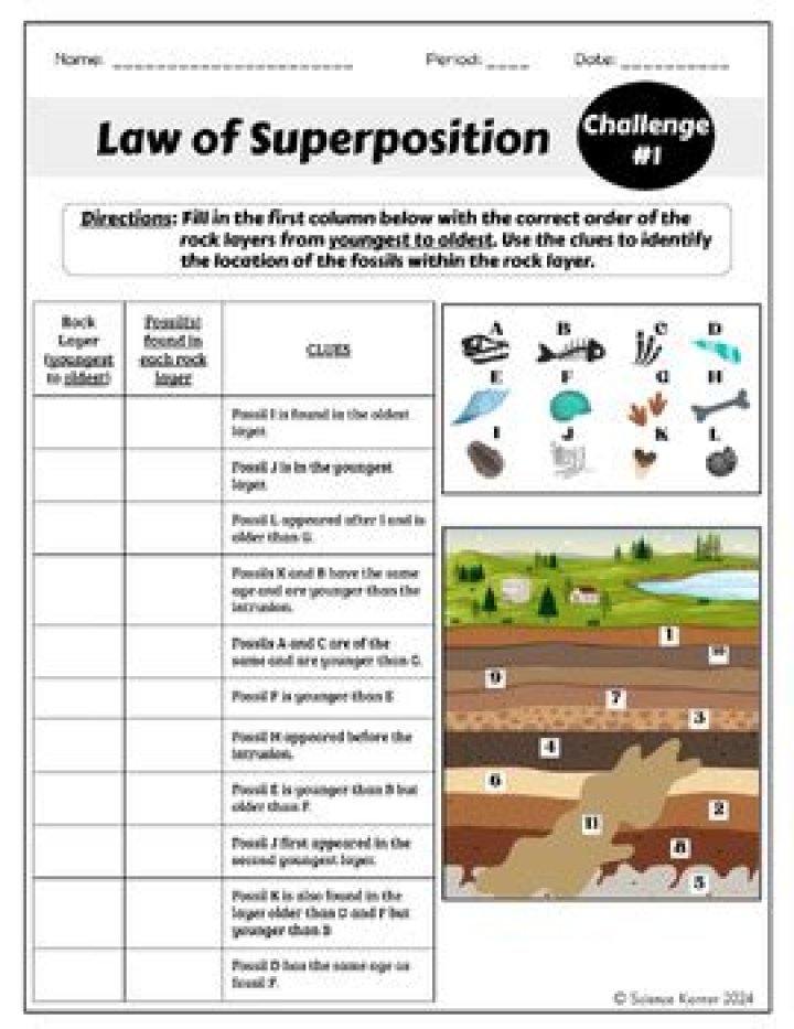 Law of Superposition Worksheet Middle School PDF – Free Printable Worksheets