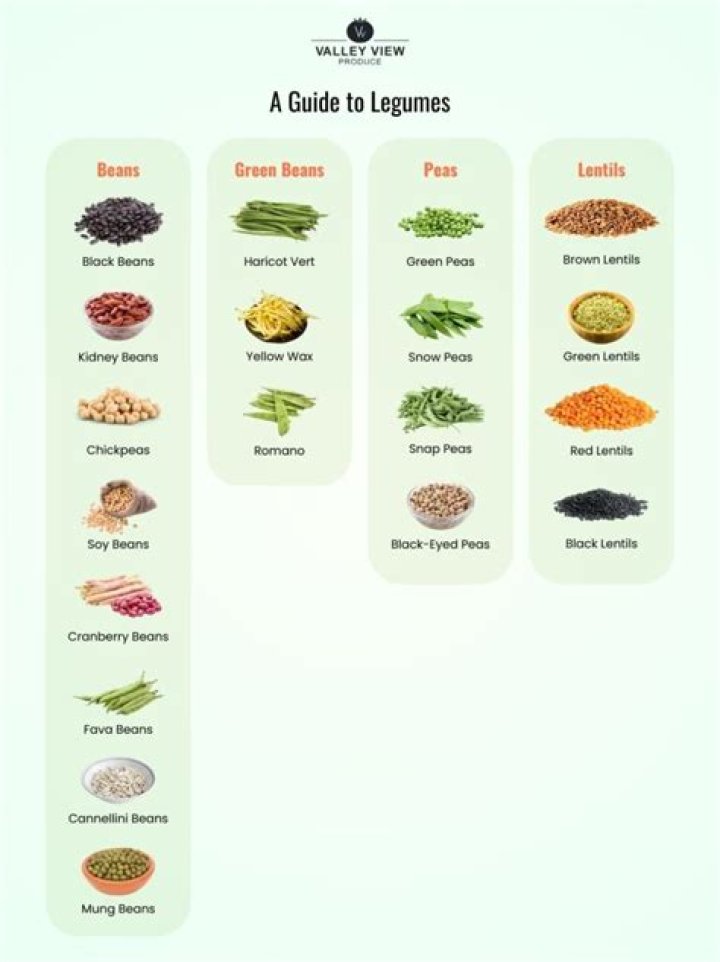 Lawns to Legumes: Complete Plant List PDF for Garden Success