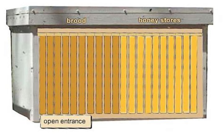 Free Layens Hive Plans PDF for Beekeepers