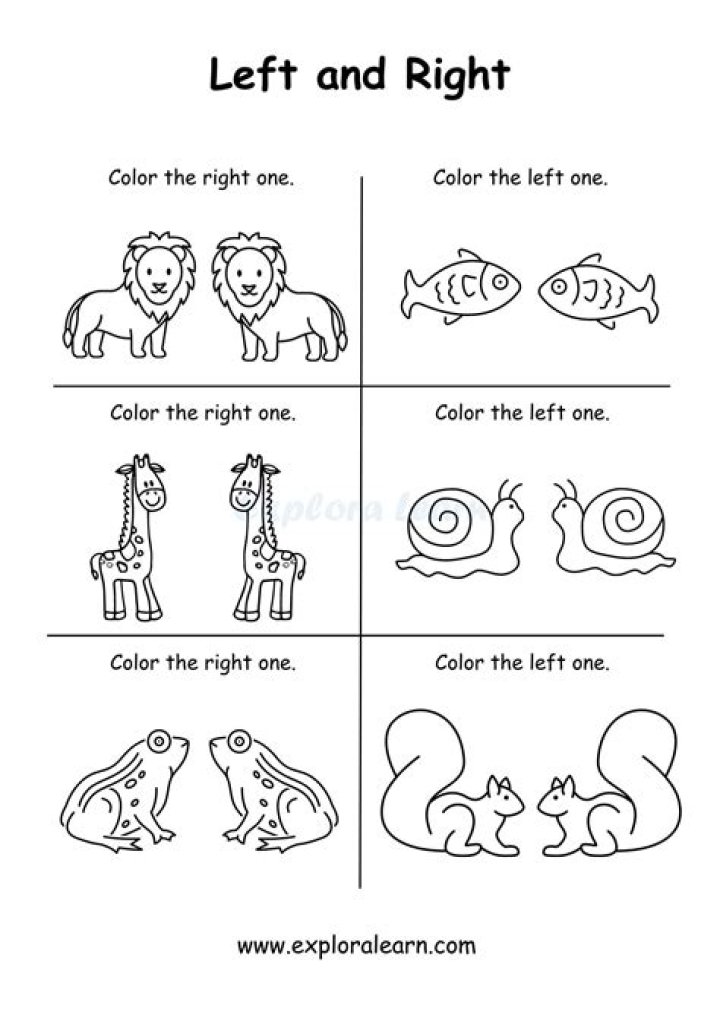 Left and Right Worksheets for Kindergarten PDF – Free Printable