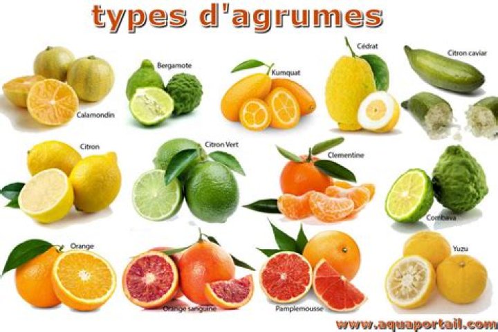 Agrumes Essentiels PDF : Liste Complète des Agrumes