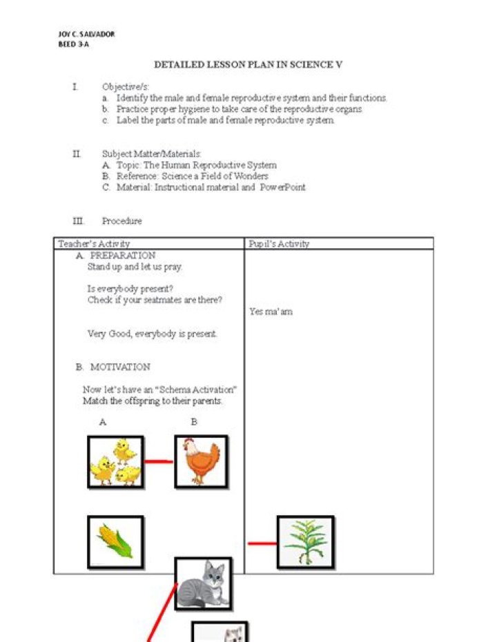 Free Kindergarten Science Lesson Plan PDF for Teachers