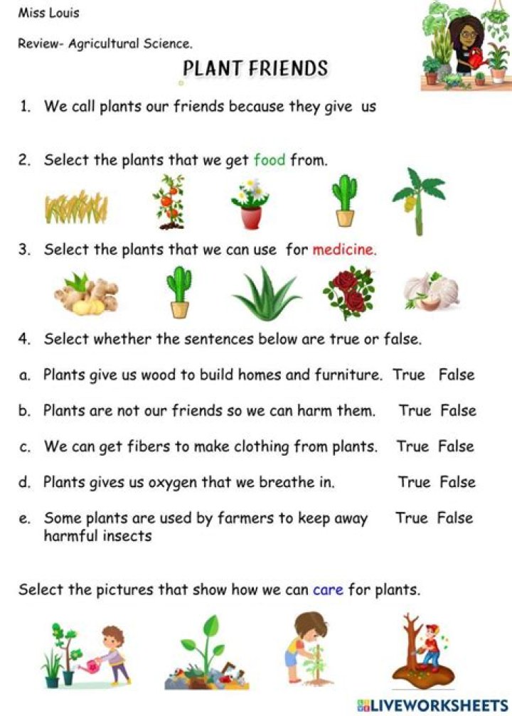 Free Lesson Plan on Plants for Kindergarten (PDF Download)