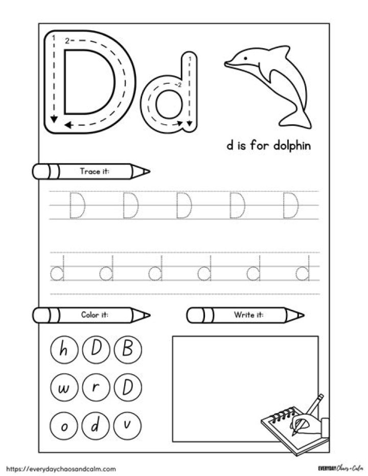 Free Kindergarten Letter D Worksheets in PDF Format