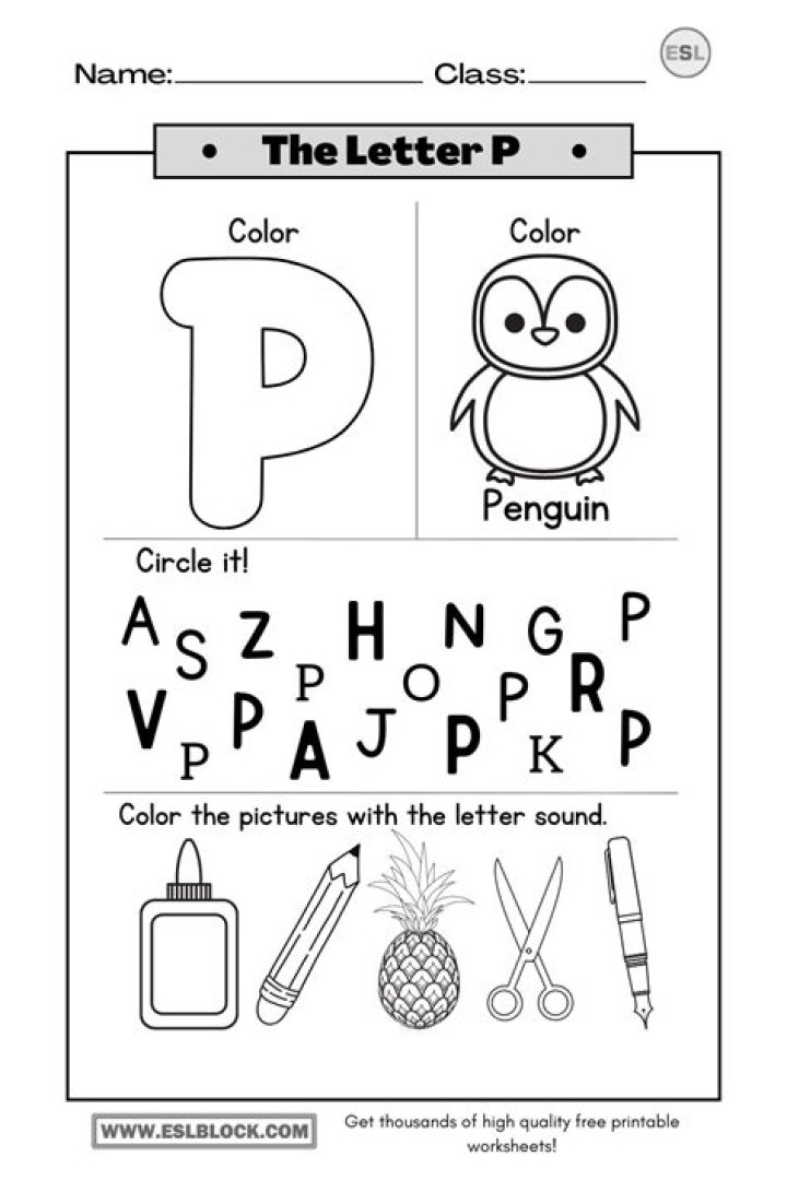 Letter P Worksheets for Kindergarten PDF – Free Printables