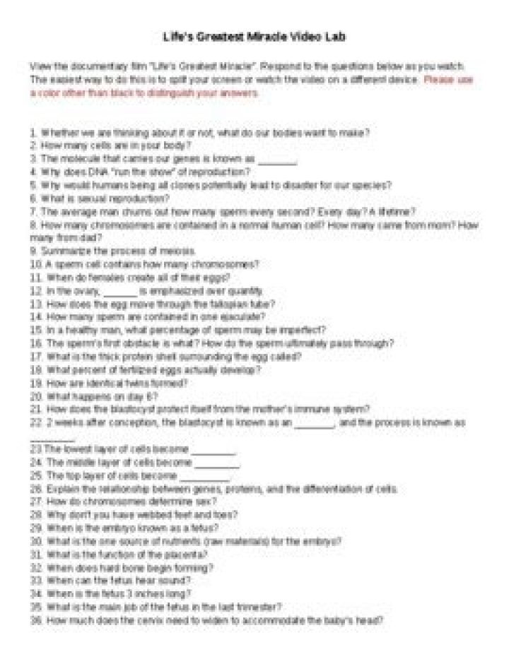 Life's Greatest Miracle Worksheet PDF Answers – Complete Guide