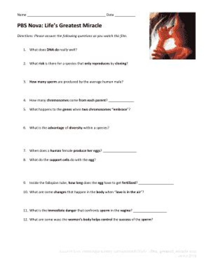Life's Greatest Miracle: Free PDF Worksheet for Reflecting on Life's Blessings