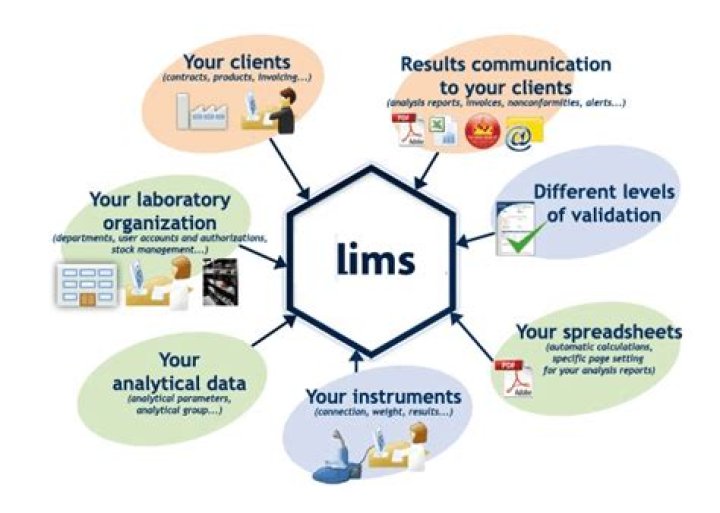 Lims Implementation and Management PDF: Step-by-Step Guide