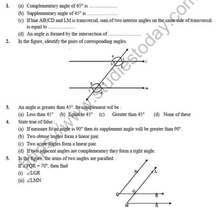 Class 7 Lines and Angles Worksheet with Answers PDF