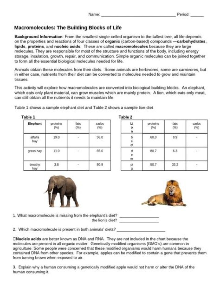 Lion Elephant Macromolecules Answer Key PDF: Science Study Guide